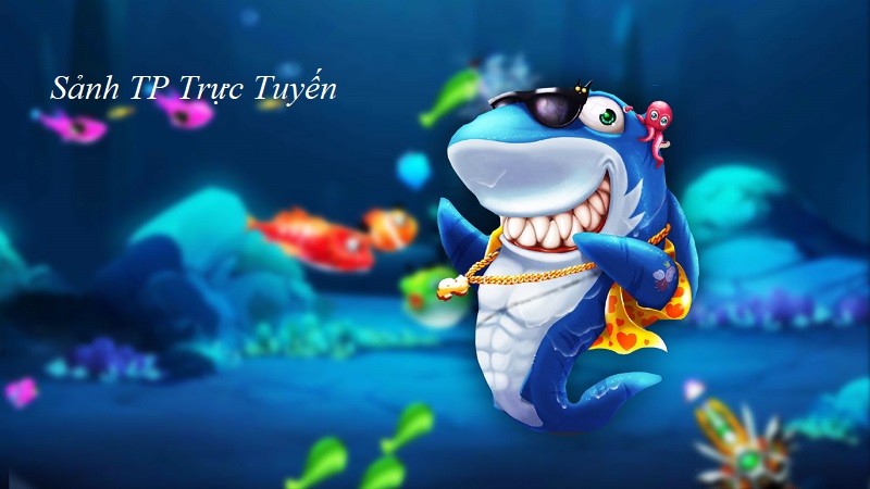 Hướng Dẫn Toàn Diện Về Sảnh TP Trực Tuyến Cho Người Mới Bắt Đầu